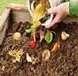 Learn About Composting Day  thumbnail